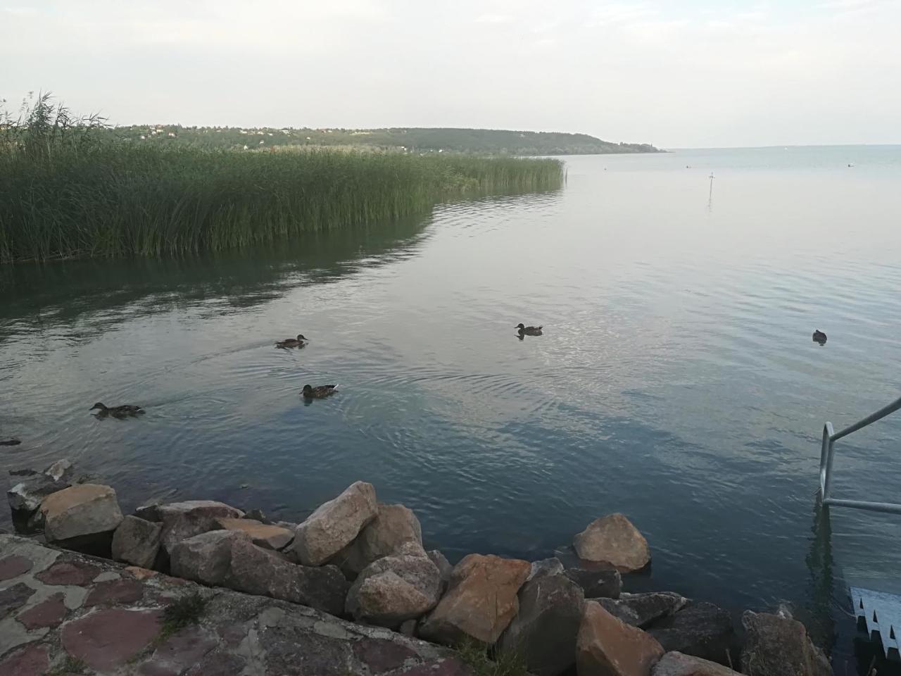 Betty Apartman Balatonfůzfő 外观 照片